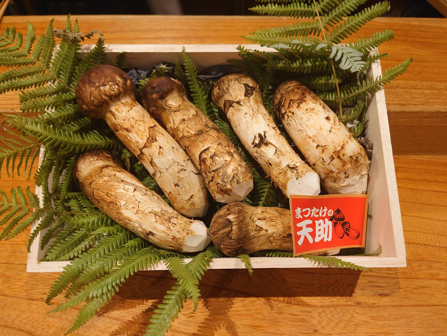 【日本料理みつわ】松茸<p>岩手県産 松茸が入荷しております。 シーズン前の松茸は大変希少です。 香り高い上質なものが揃っております。 数に限りがございますので、 お早めにお越しくださいませ。</p>
